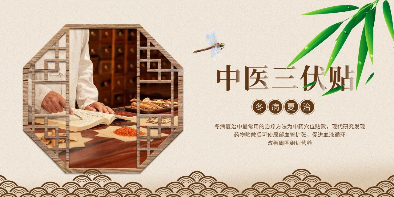 眼睛也需要“三伏贴”？